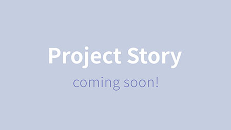 Project Story